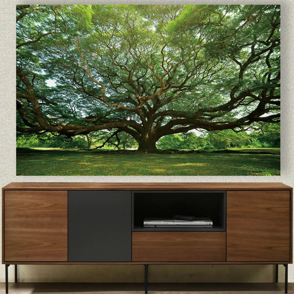 Mueble de TV tipo Treku de chapa de nogal 200 x 40 cm. – DERBE MUEBLES